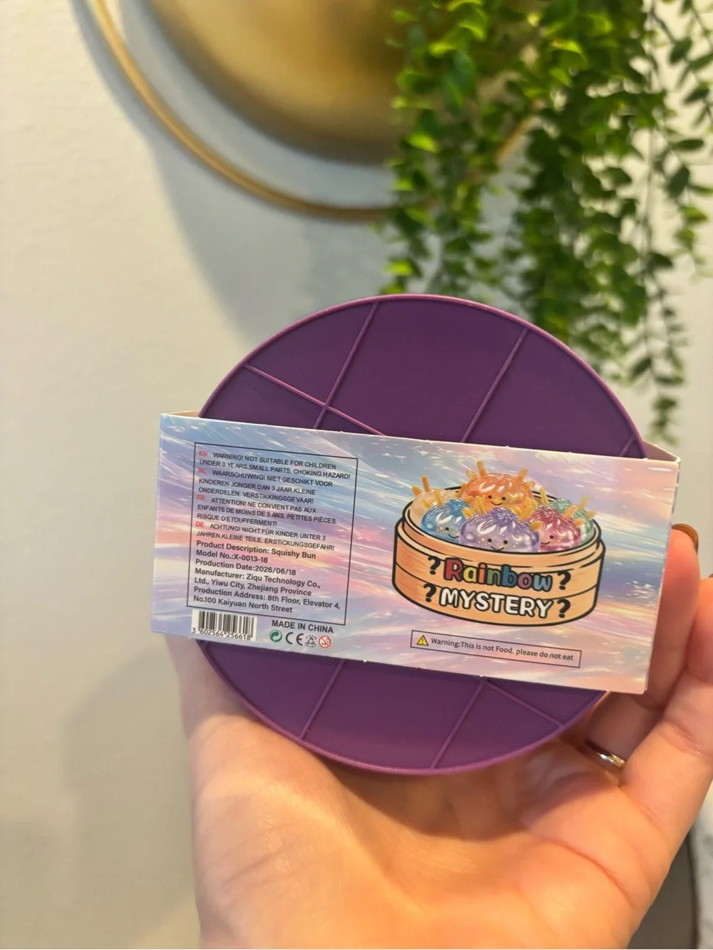 Rainbow Mystery Squishy Bun - Purple Squishy Fidget Toy